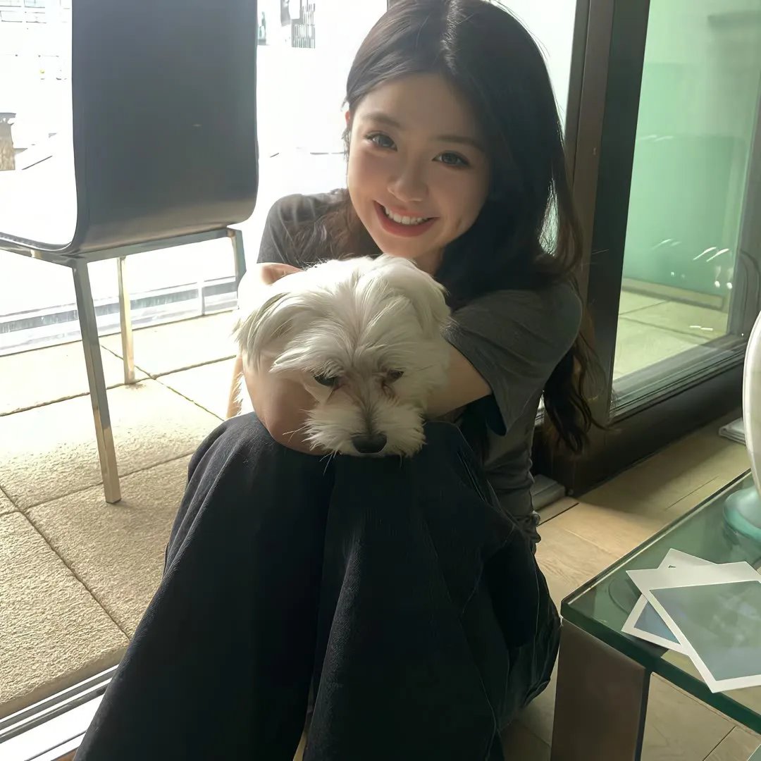 星际狗狗